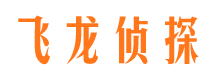 点军侦探